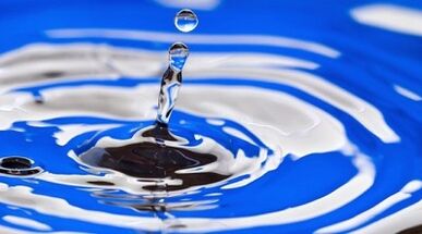 ကိုယ်အလေးချိန် လျှော့ချရန်အတွက် သောက်သုံးသော အစားအစာ၏ အနှစ်သာရ